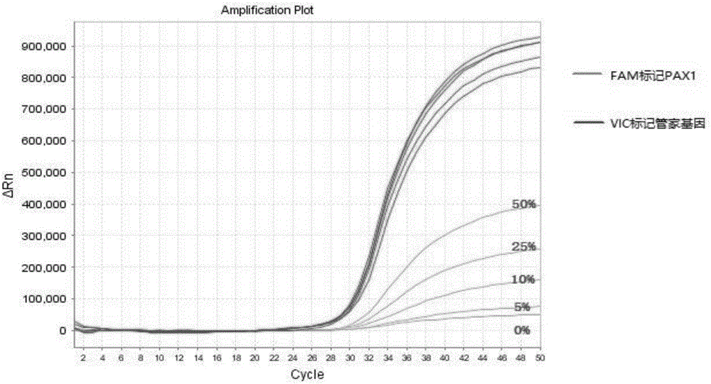 Primer pair, kit and method based on cervical cancer specificity methylation detection