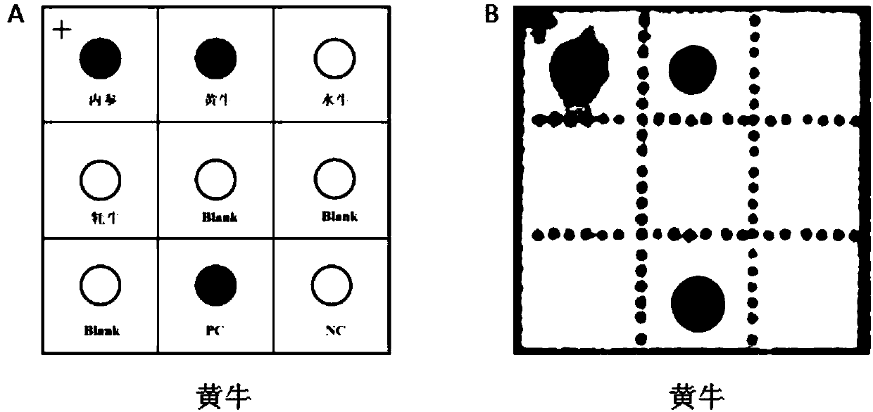 Bovine-derived component detection kit