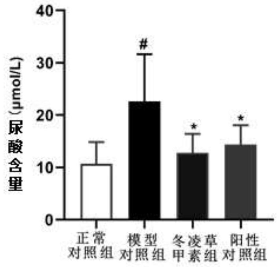 Application of oridonin in preparation of drugs for treating hyperuricemia and resisting gout