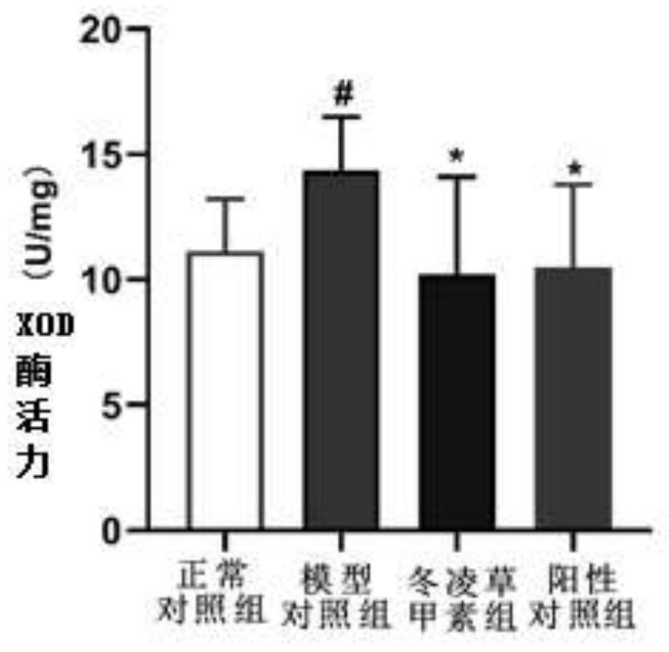 Application of oridonin in preparation of drugs for treating hyperuricemia and resisting gout