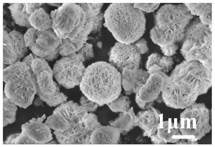 Metal ion co-doped BiOBr microsphere as well as preparation method and application thereof