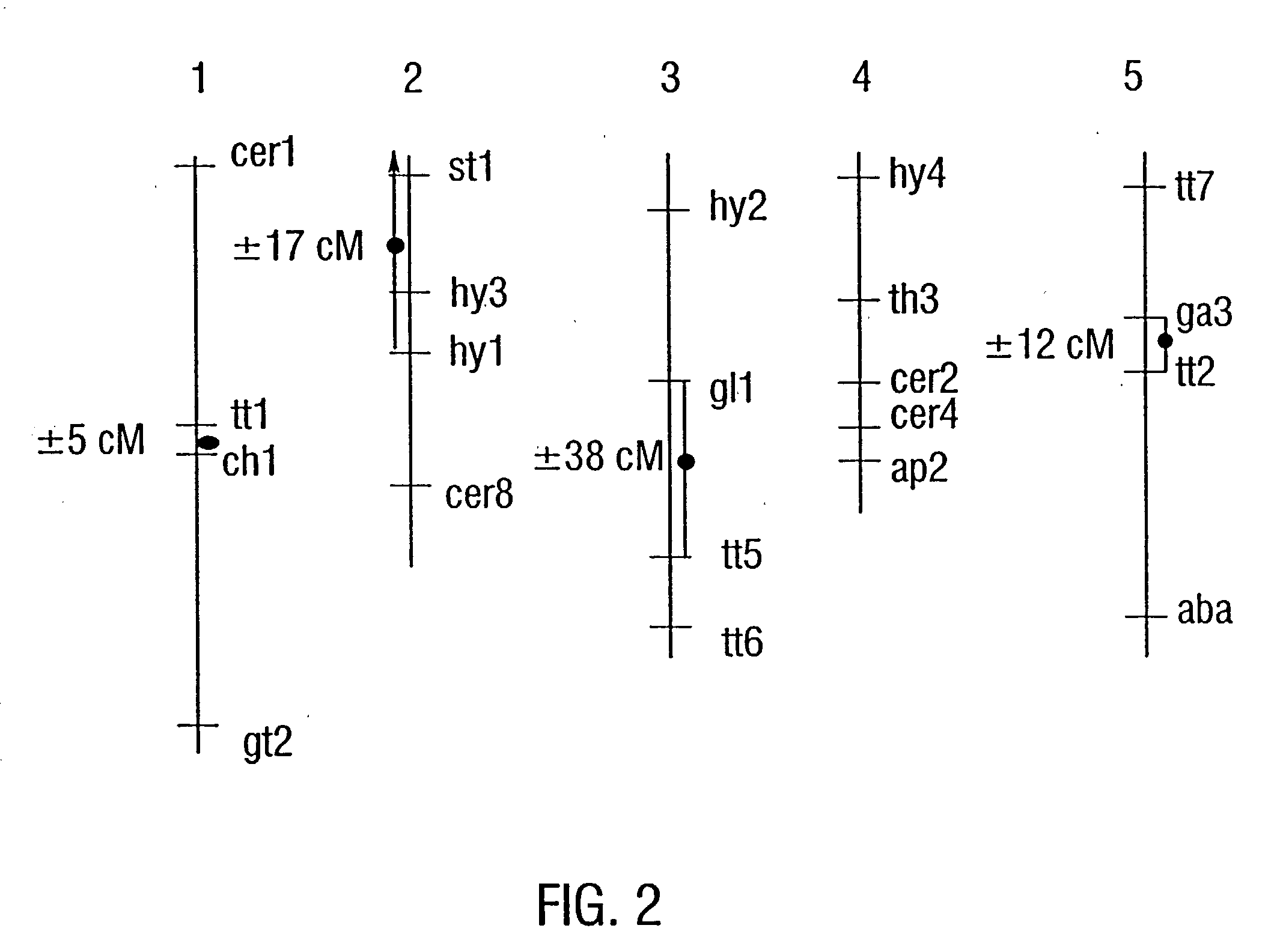 Plant artificial chromosome compositions and methods