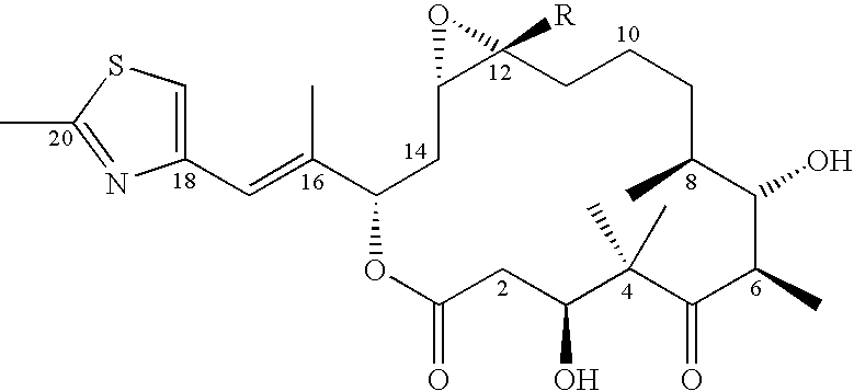 6-alkenyl-, 6-alkinyl- and 6-epoxy-epothilone derivatives, process for their production, and their use in pharmaceutical preparations