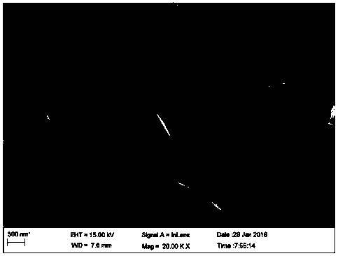 Preparation method of metal nanoflakes