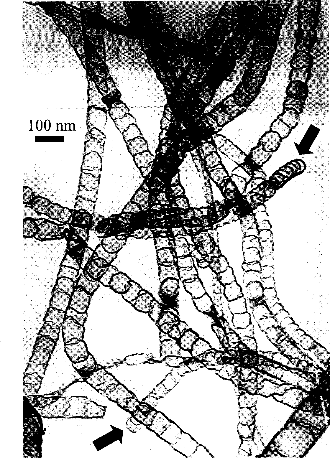 Array nanotube, mfg. method and use thereof