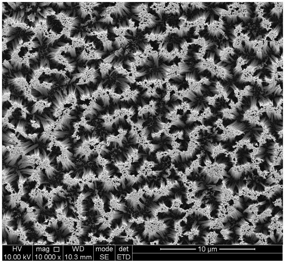 Growth method of Si NWs (at) ZIF-8 core-shell structure