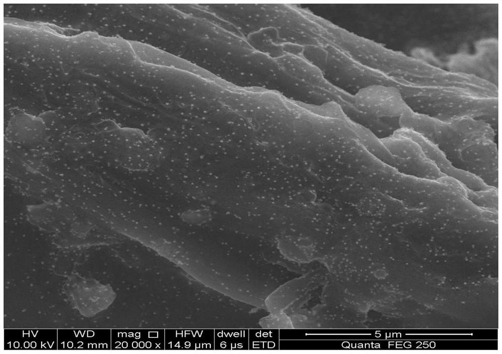 A kind of catalyst for removing harmful gas and its preparation method and application