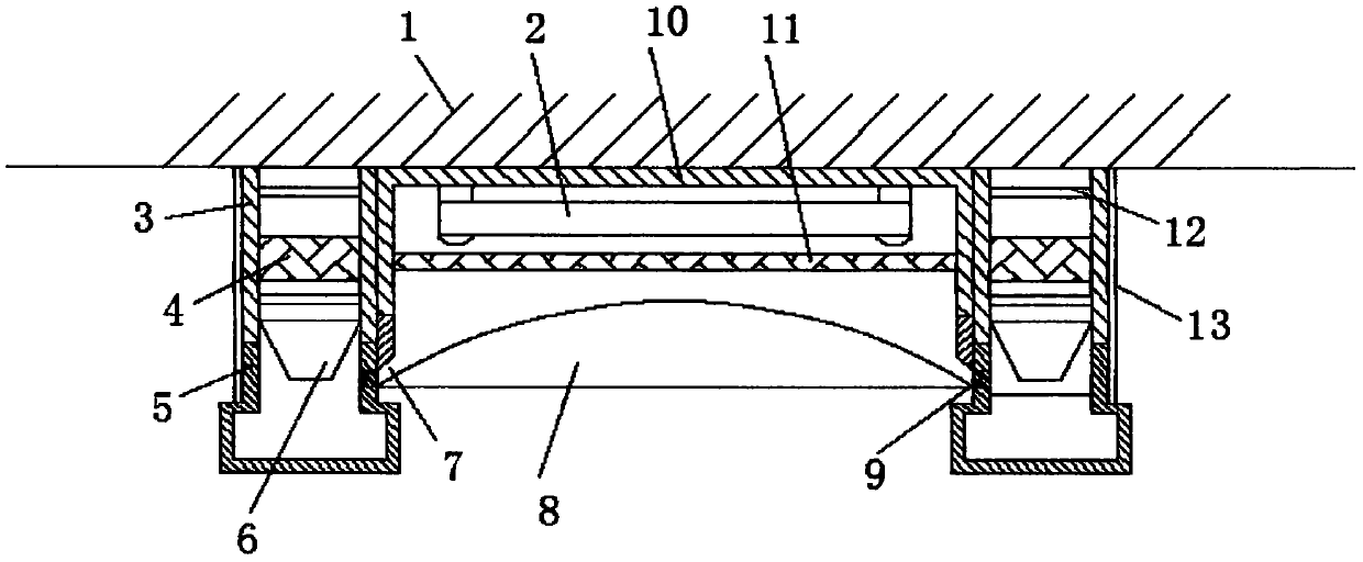 Domestic ceiling light with insect-catching function