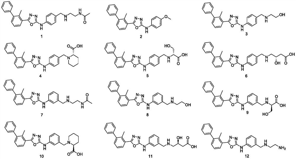 Phenyl-substituted five-membered heterocyclic compounds as well as preparation method, application and pharmaceutical composition thereof