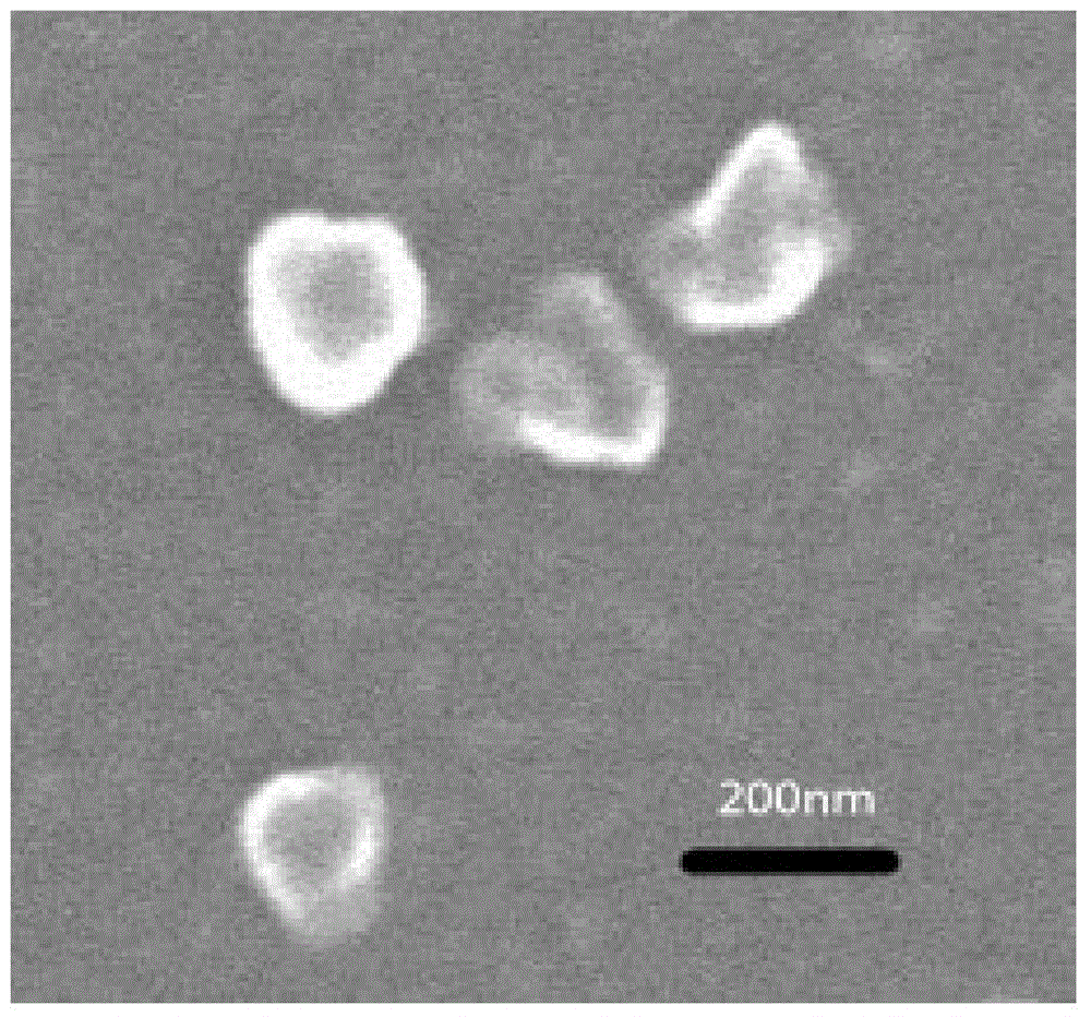 Sugar-containing photodynamic therapy nano particles with blood stability and target ability and preparing method of sugar-containing photodynamic therapy nano particles