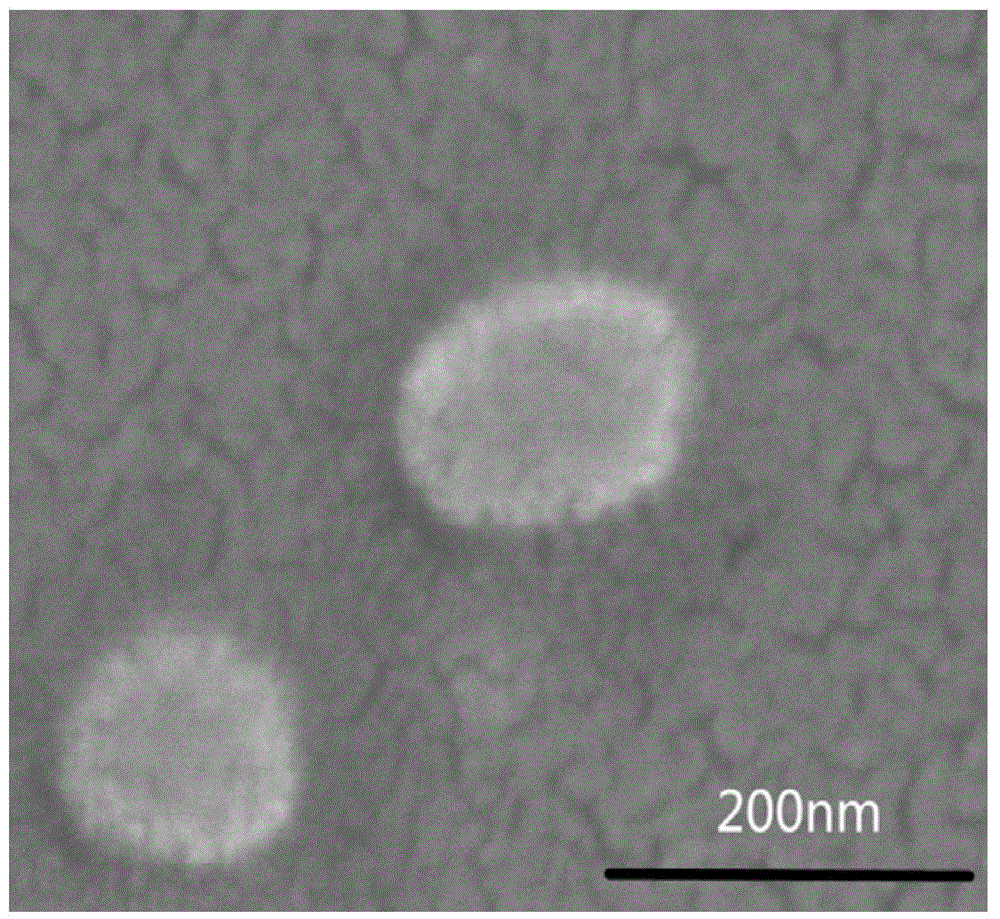 Sugar-containing photodynamic therapy nano particles with blood stability and target ability and preparing method of sugar-containing photodynamic therapy nano particles