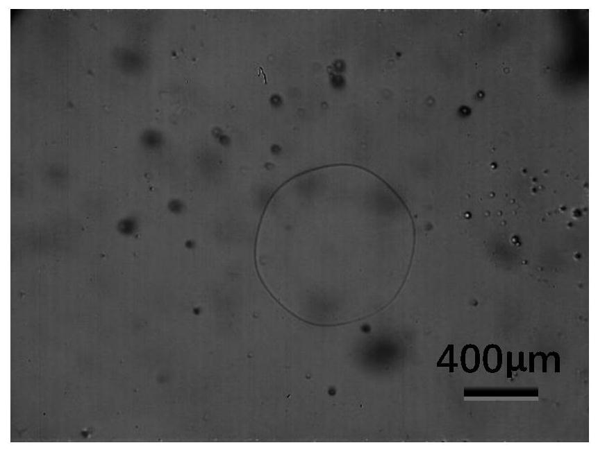 A kind of peptide compound and cryopreservation solution containing the compound