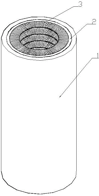 Split and internal brushing type bathing machine