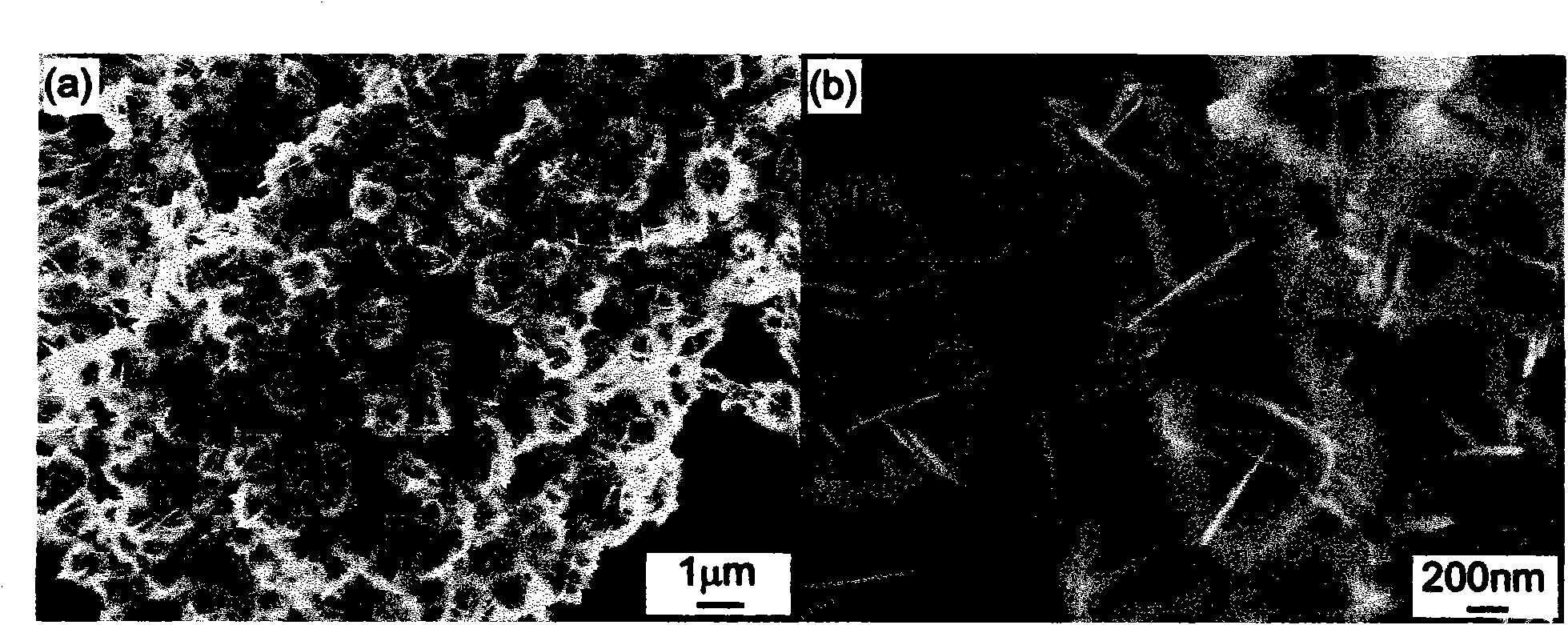 Bismuth sodium titanate nanometer flower and preparation method thereof