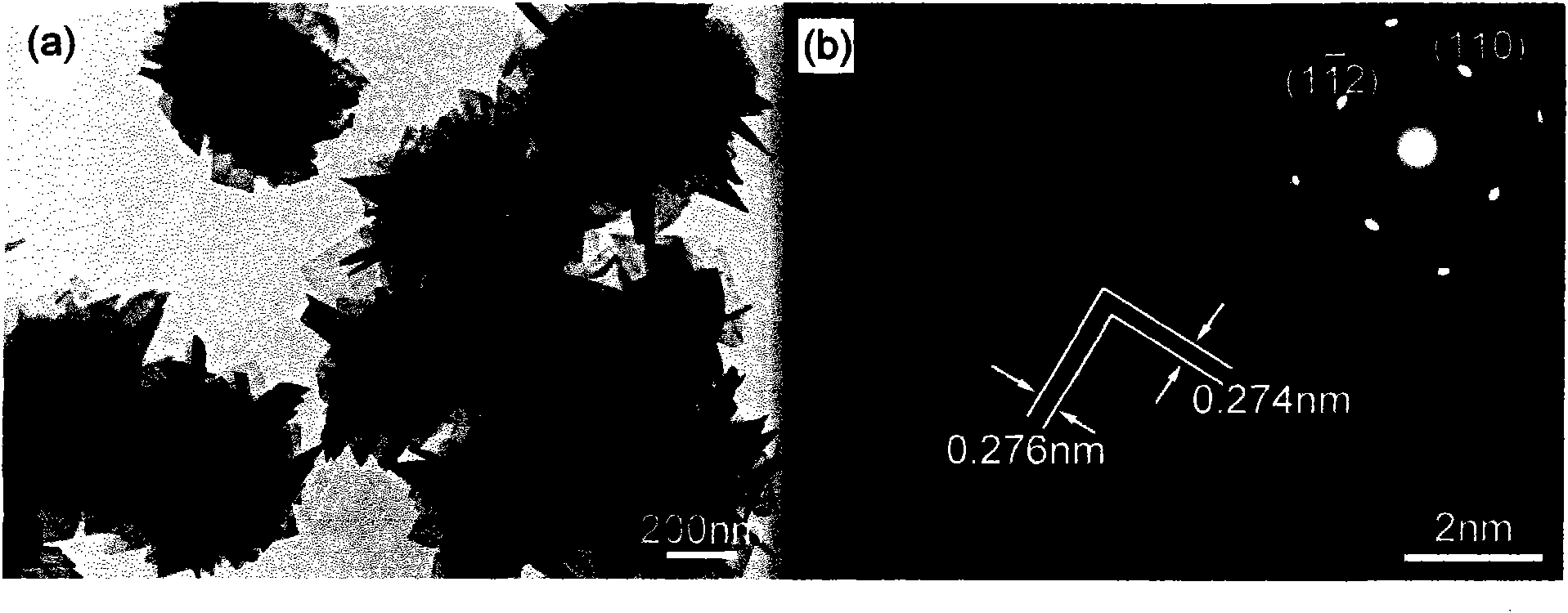 Bismuth sodium titanate nanometer flower and preparation method thereof