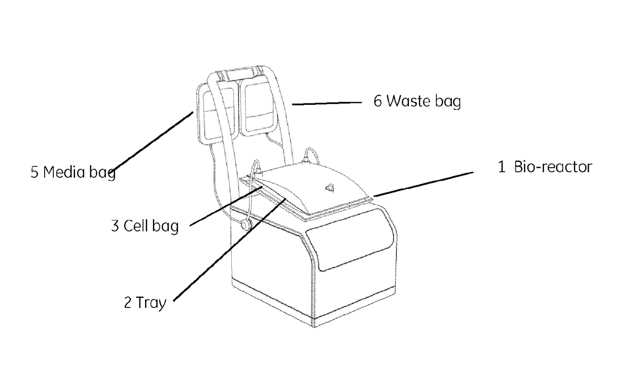 Bioreactor System for Cell Cultivation