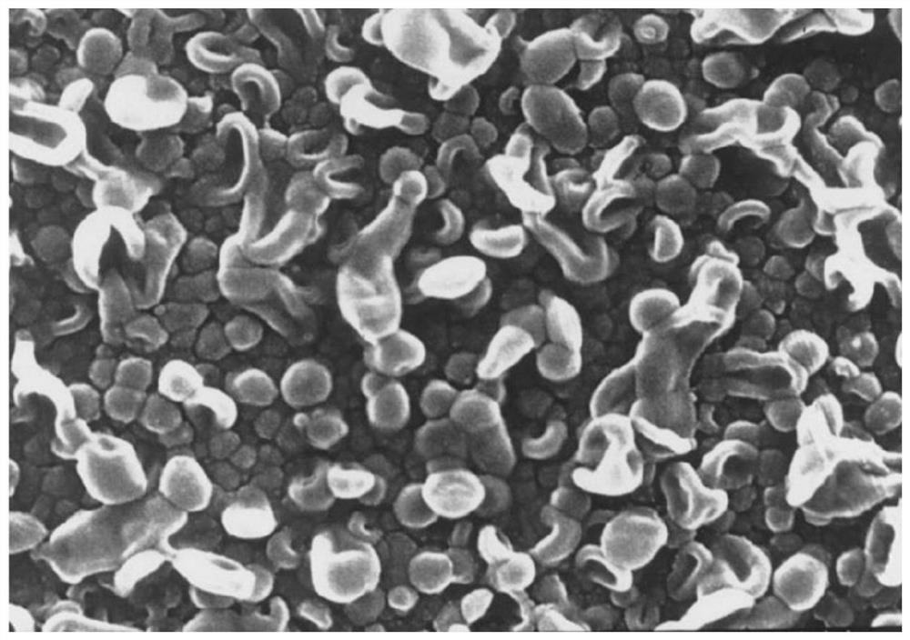 Preparation method of meta-aramid-based polyamide composite nanofiltration membrane