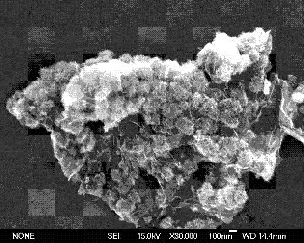 A graphene-loaded flower-like manganese dioxide composite material and its ultrasonic synthesis method