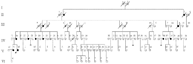 Multiple cancer risk susceptibility mutation site, application thereof and produced kit thereof