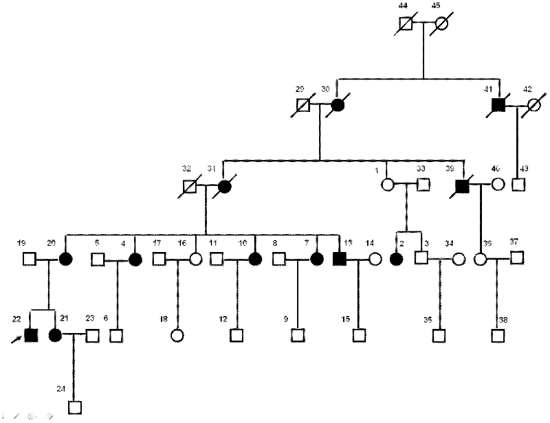 Multiple cancer risk susceptibility mutation site, application thereof and produced kit thereof