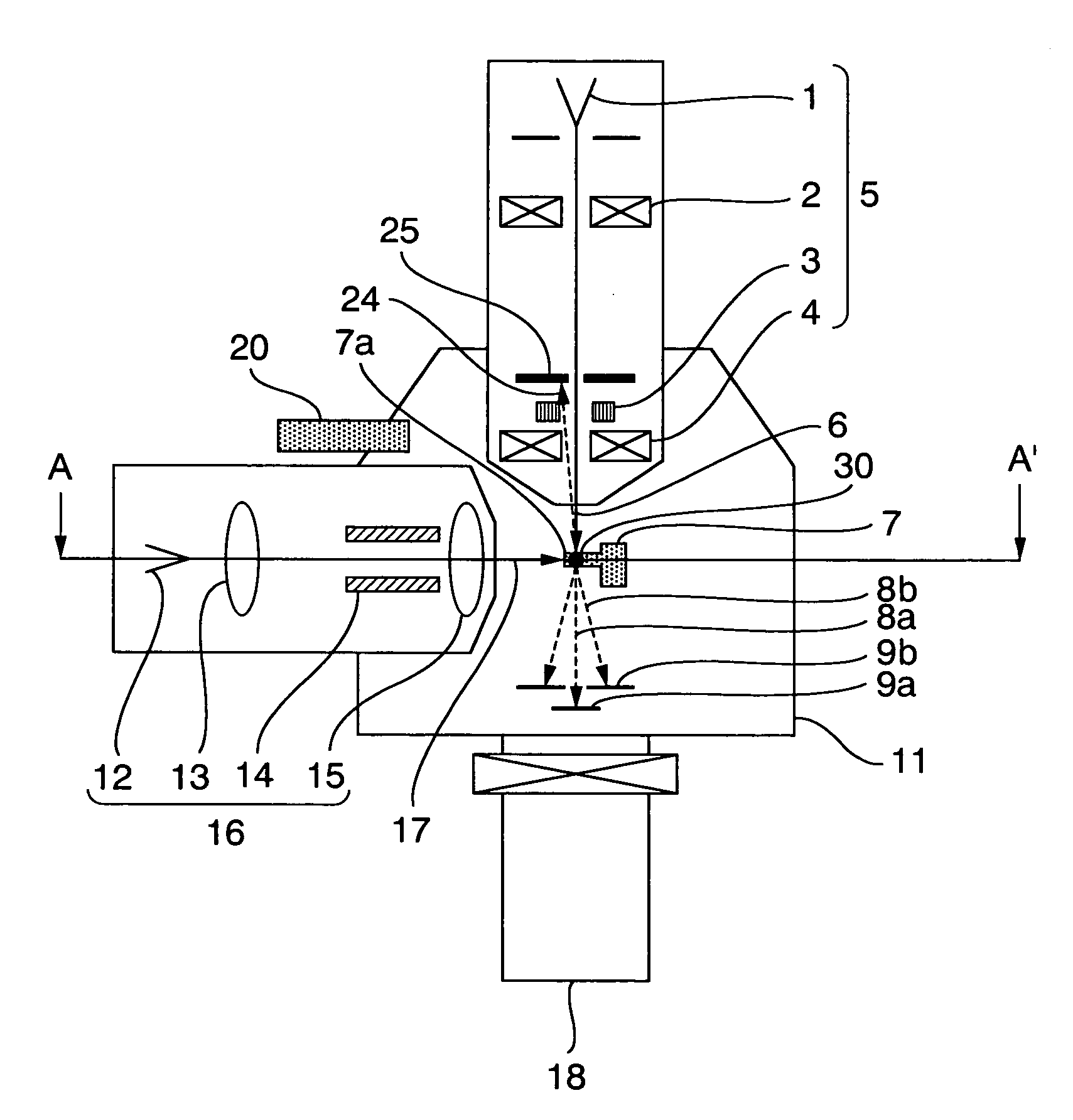 Charged particle beam apparatus and sample manufacturing method