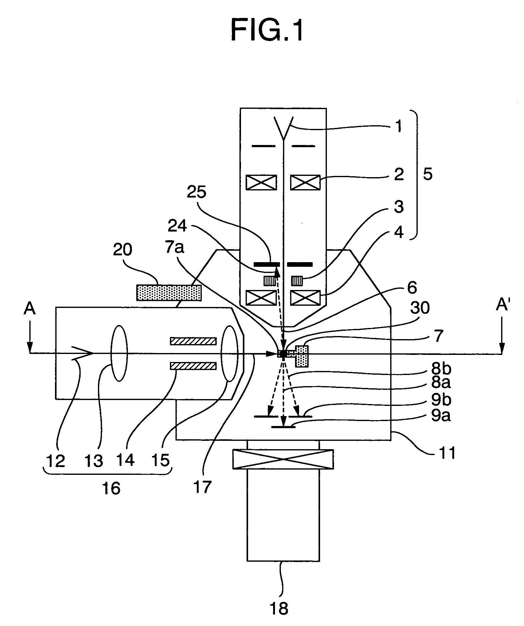 Charged particle beam apparatus and sample manufacturing method