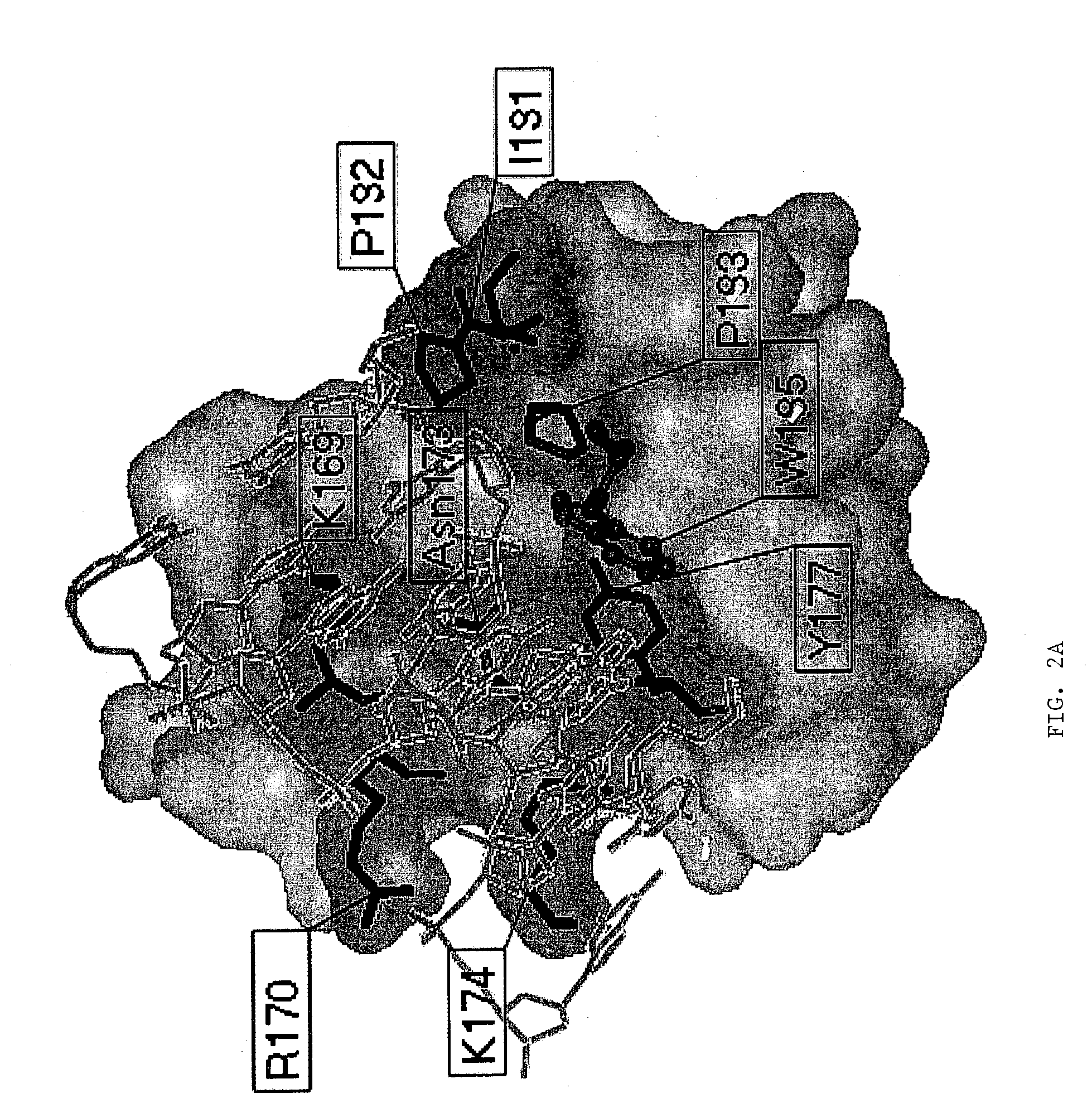 Method of inhibiting pathogenicity of infectious agents