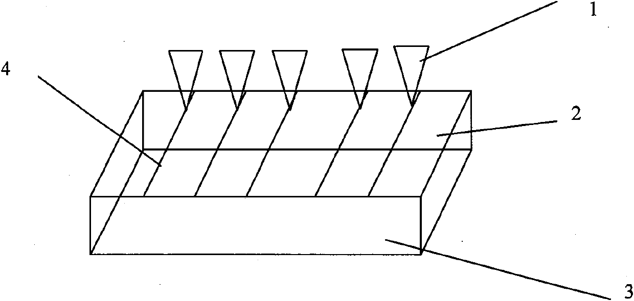 Method for preparing large-area polycrystalline film