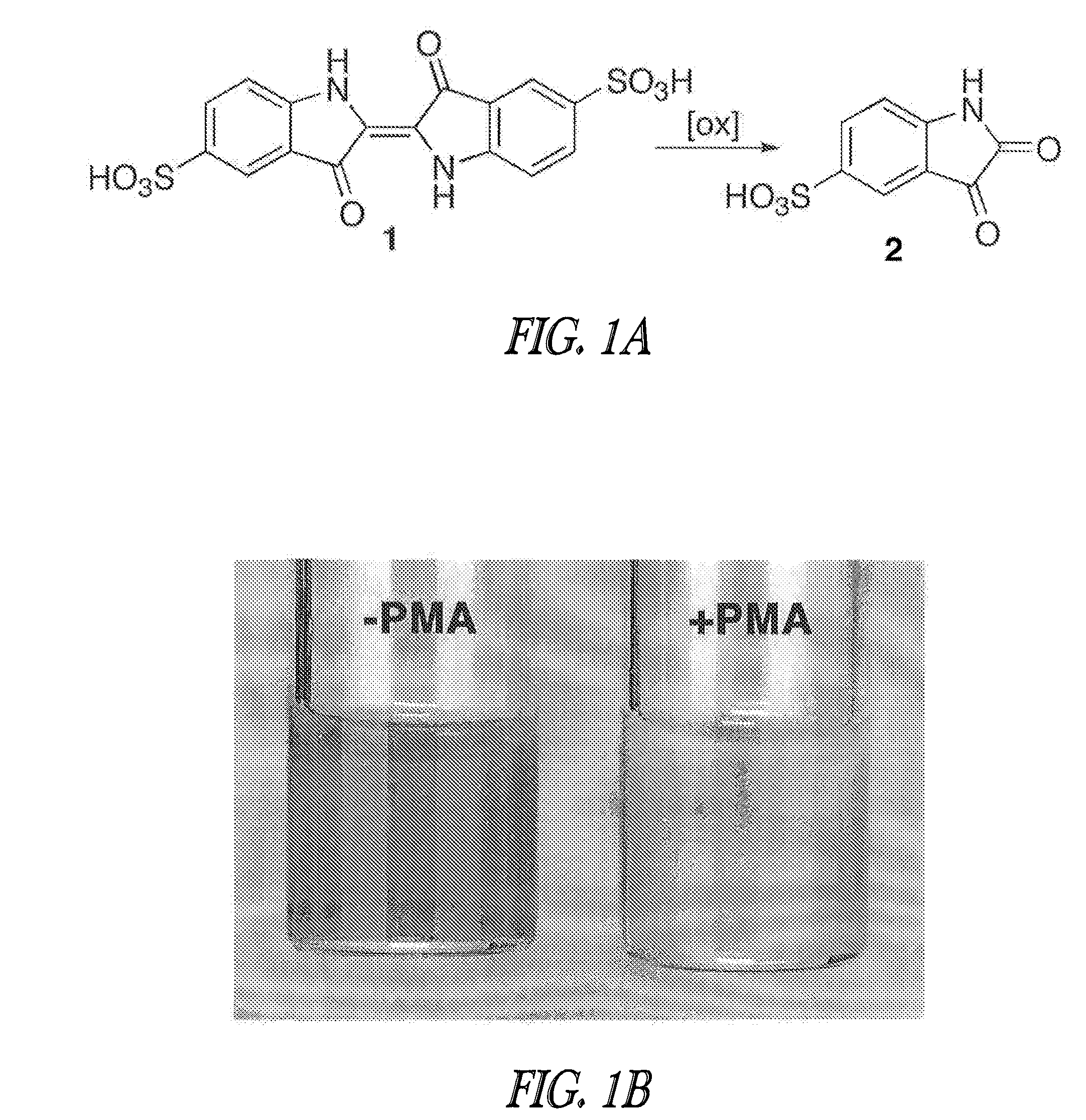 Methods to identify therapeutic agents