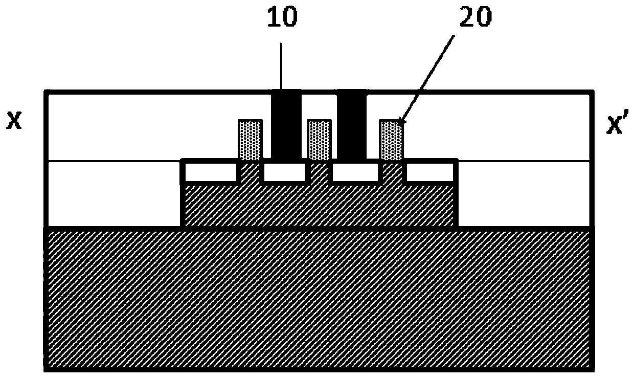 Method for Junction Staining of Transmission Electron Microscopy Samples