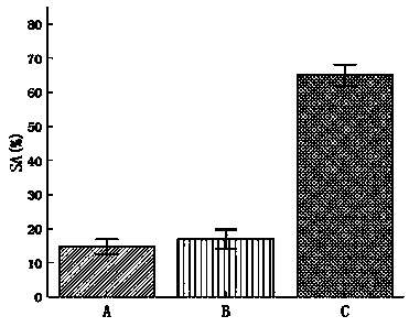 Catechin graft modified starch, degradable preservative film and preparation method thereof