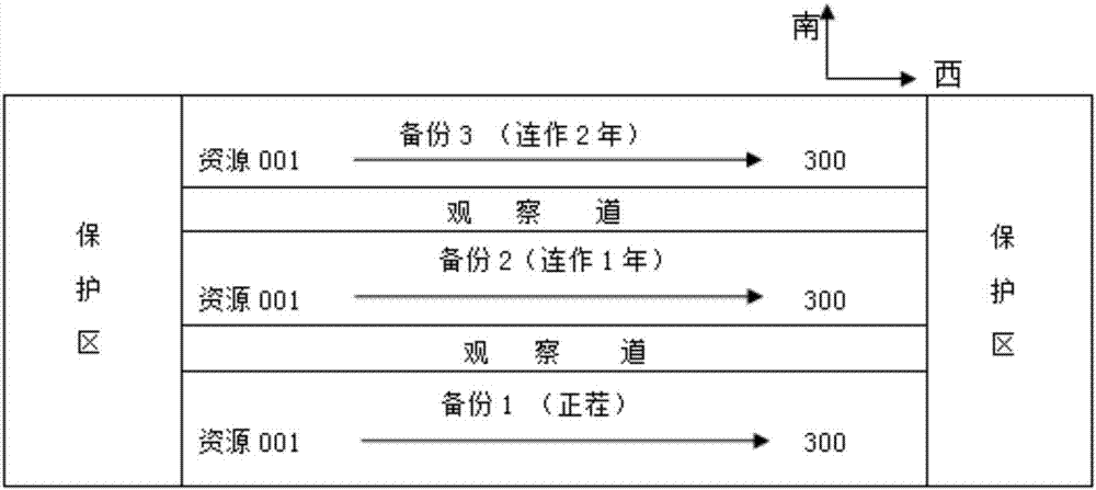 Field identification method of disease resistance of sesame wilt