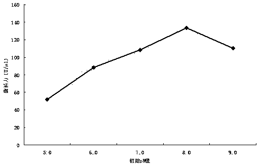 Method for producing alginate lyase through fermentation by using marine bacteria