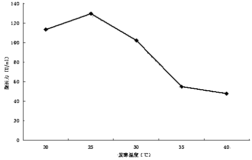 Method for producing alginate lyase through fermentation by using marine bacteria