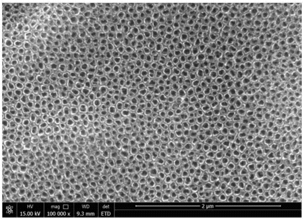 A forming method of high antibacterial titanium alloy artificial hip joint