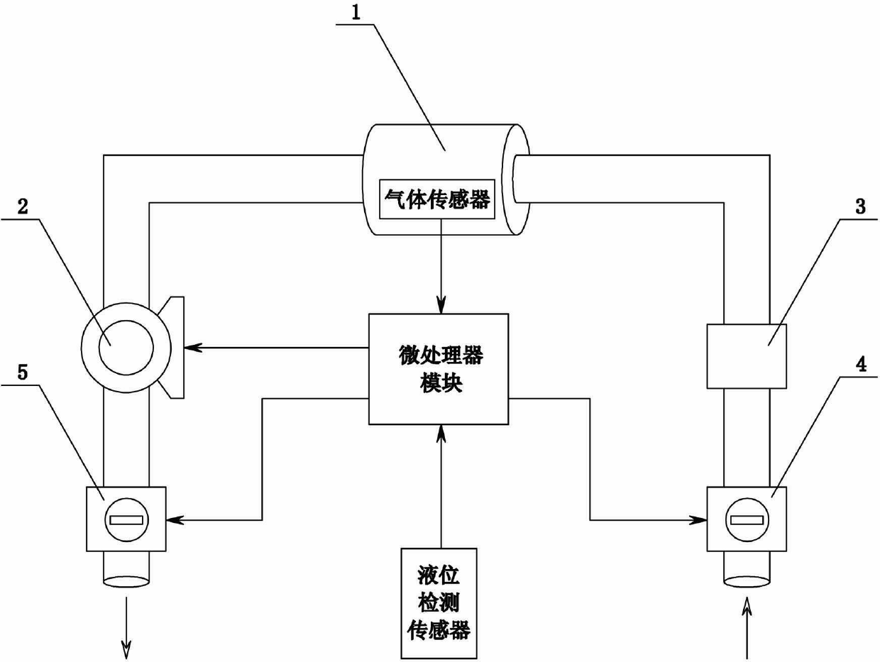 Urban underground pipe network gas detection device and detection method thereof