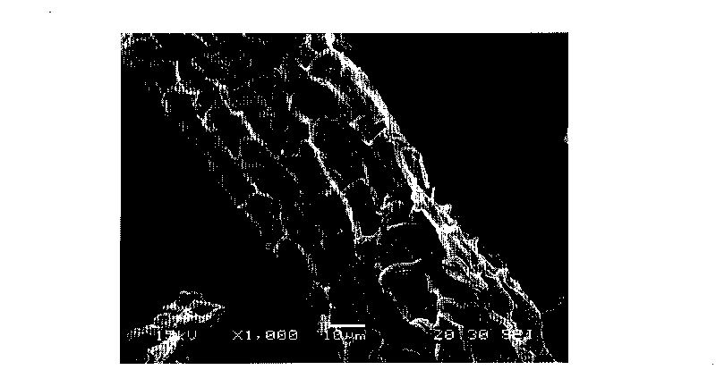 Adsorbent for polyaromatic hydrocarbon pollutant, preparation method and application thereof