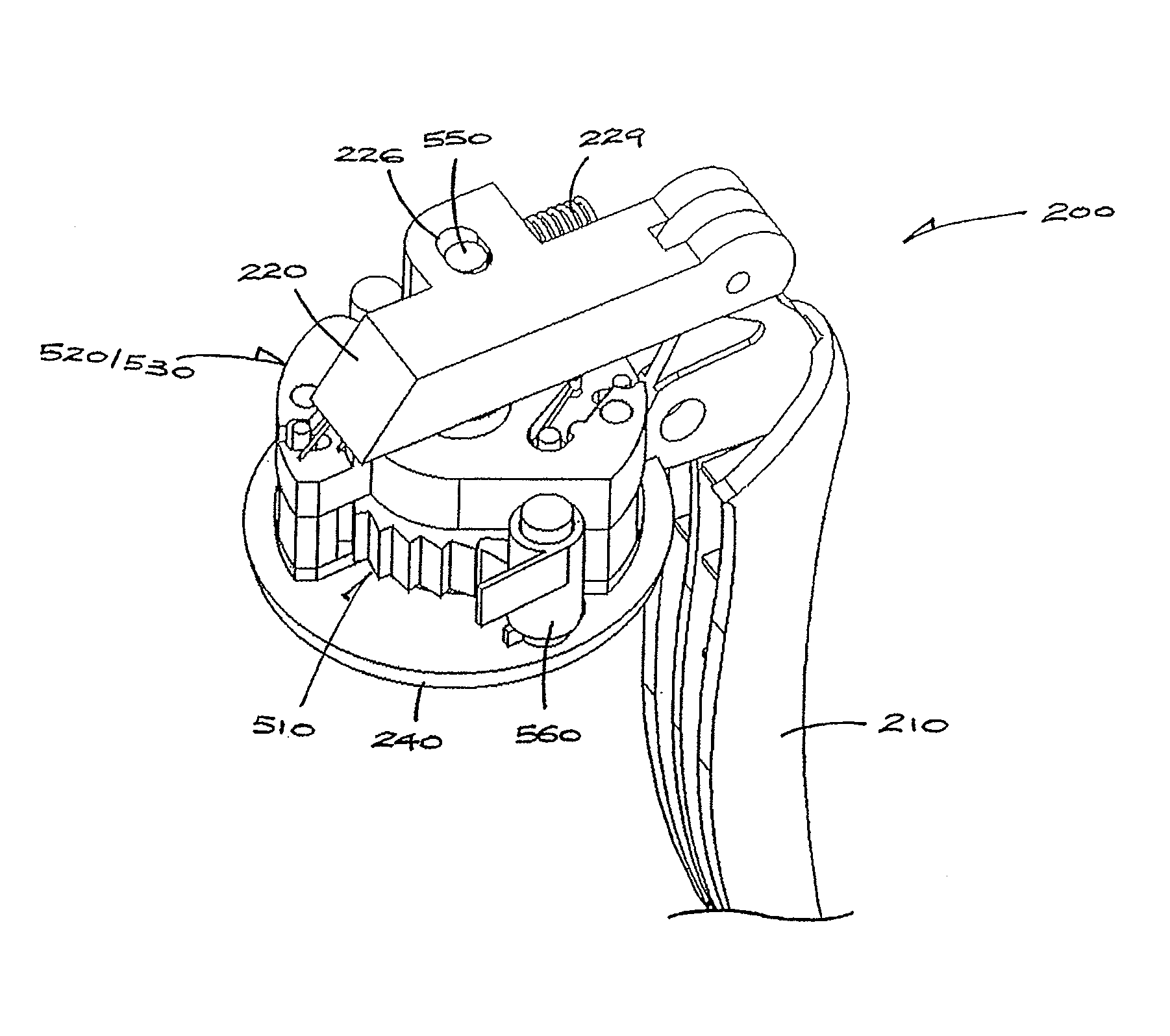 Condiment grinder