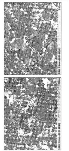 Method for preparation of plate-type manganese dioxide nanoparticle