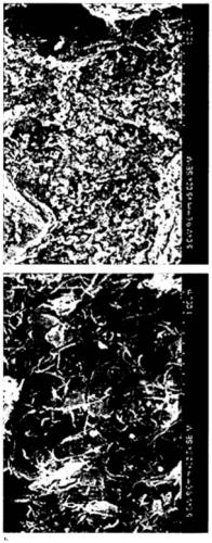 Method for preparation of plate-type manganese dioxide nanoparticle