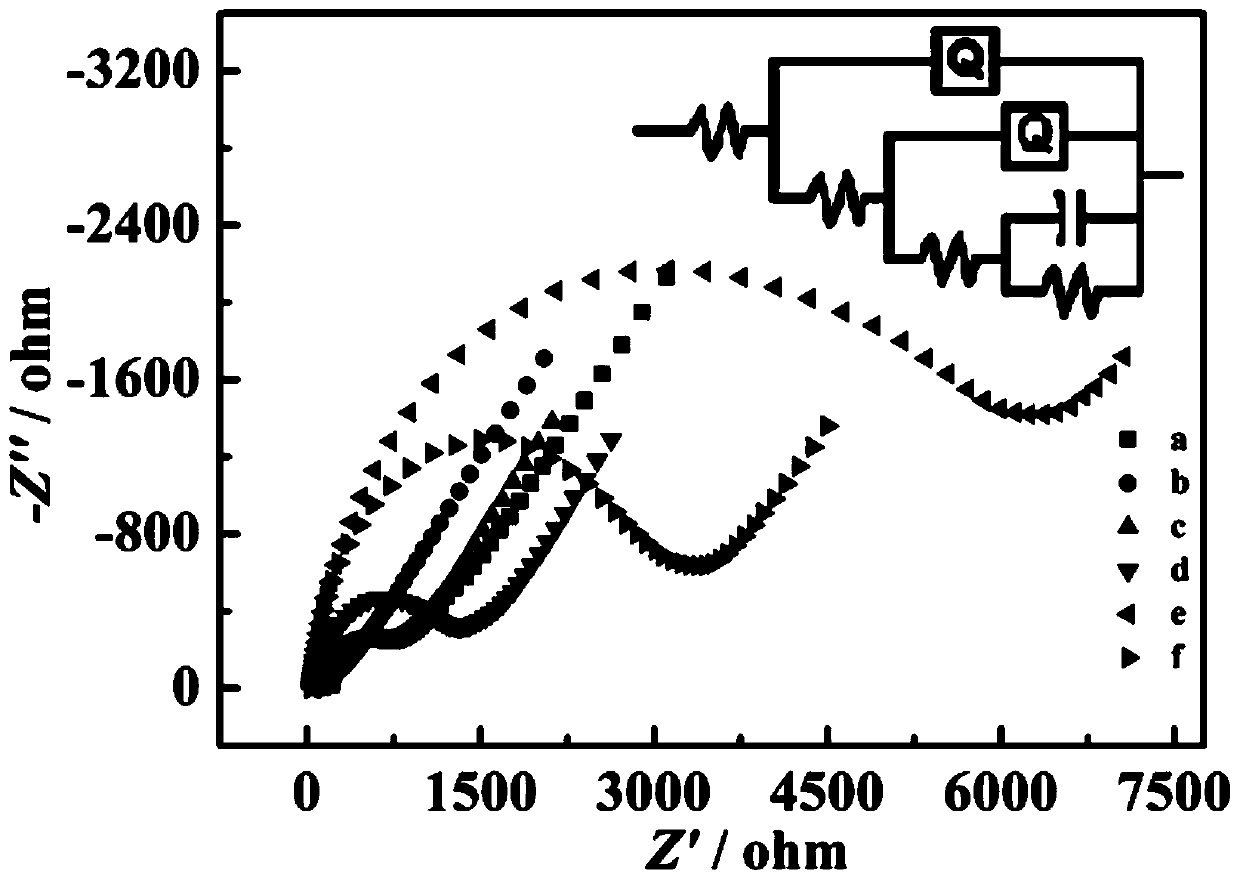 Lead ion detection equipment based on DNA hydrogel and preparation and detection methods thereof