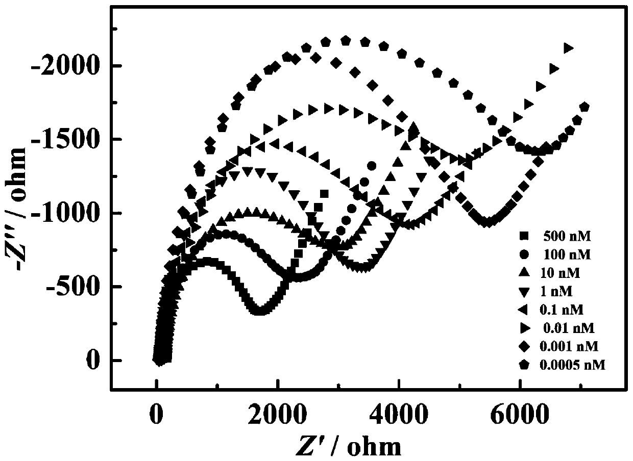 Lead ion detection equipment based on DNA hydrogel and preparation and detection methods thereof