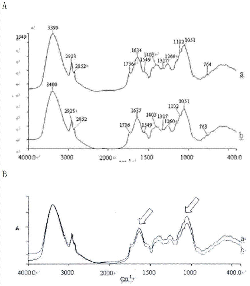 Method for culturing special honeysuckle for desertification control