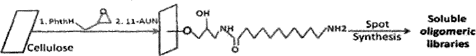 Stable modification method of cellulose membrane used for protein chip synthesis