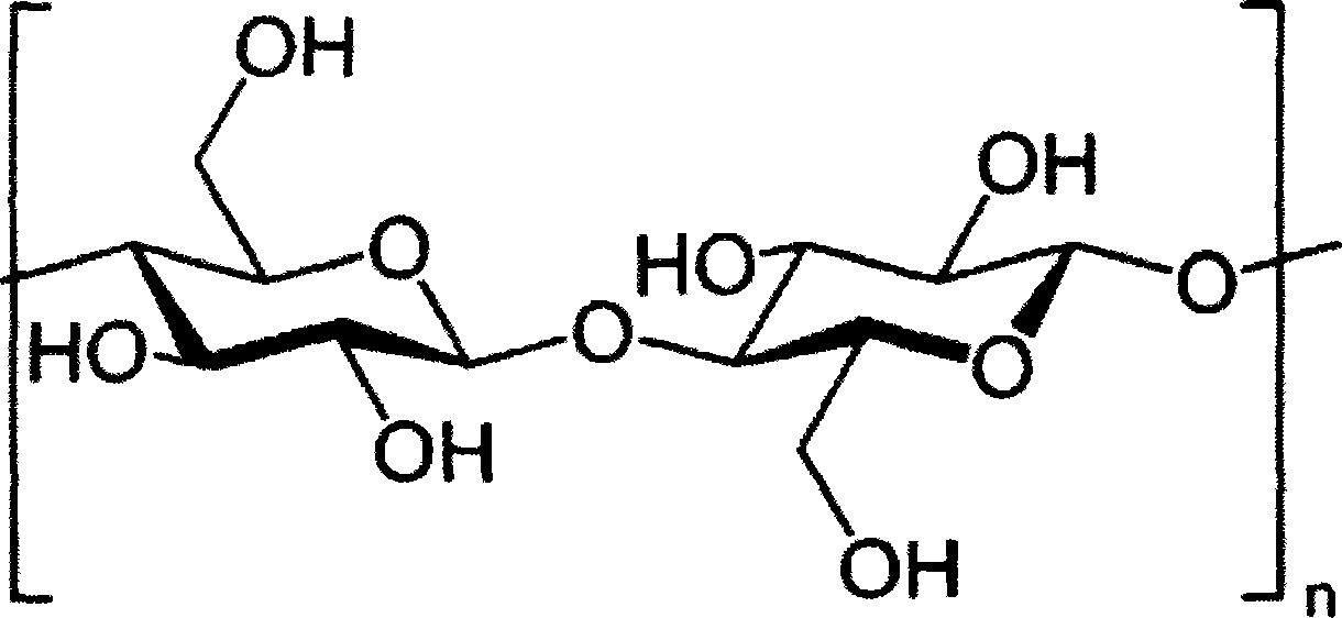 Stable modification method of cellulose membrane used for protein chip synthesis