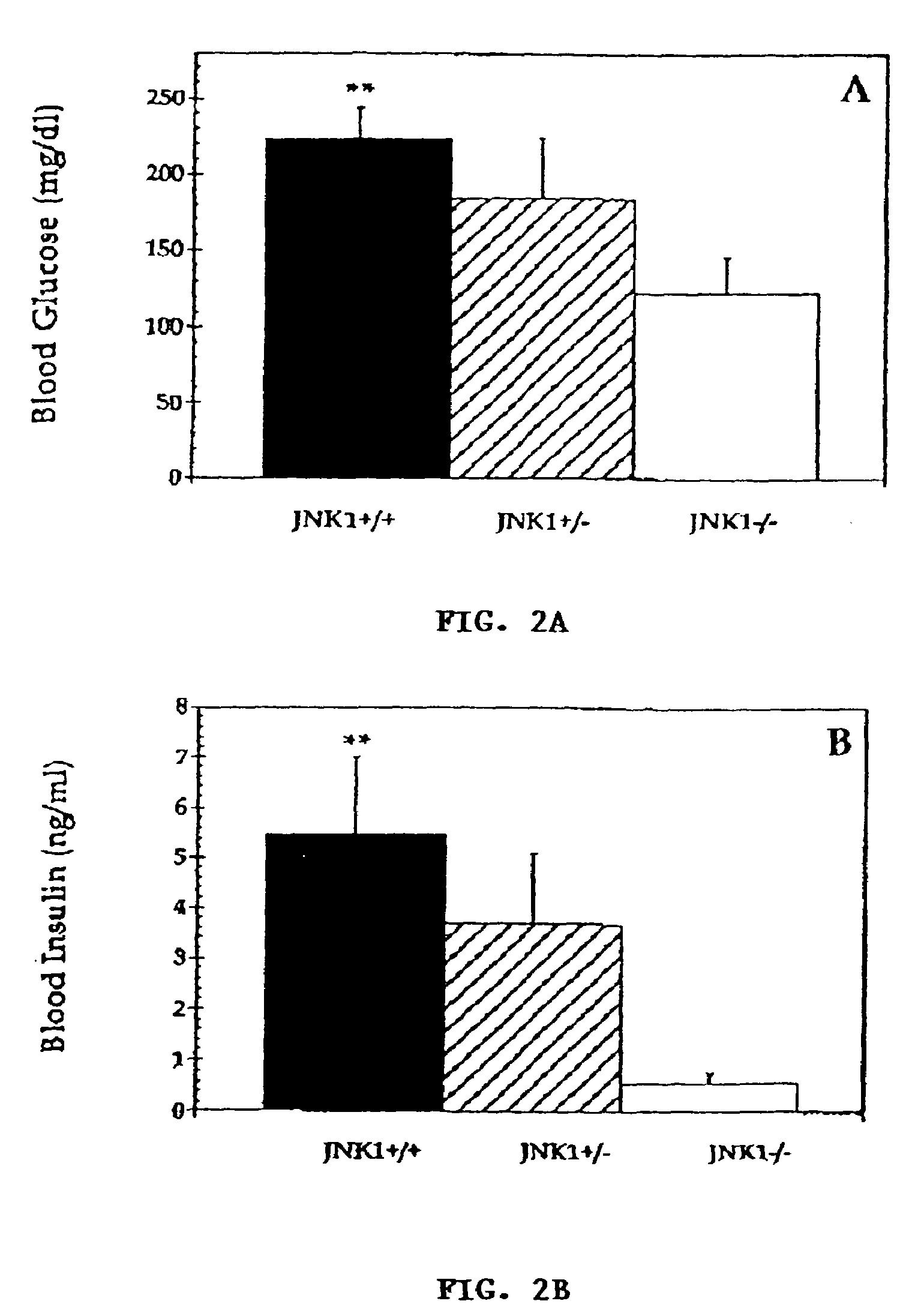 Compositions and methods for modulating NH2-terminal Jun Kinase activity