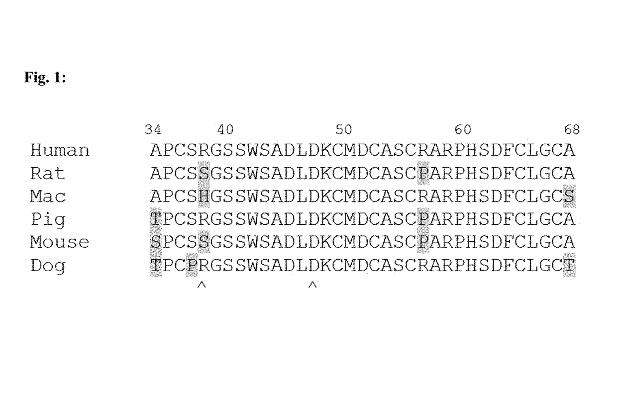 Antibody drug conjugates (ADCs) with kinesin spindel protein (KSP)