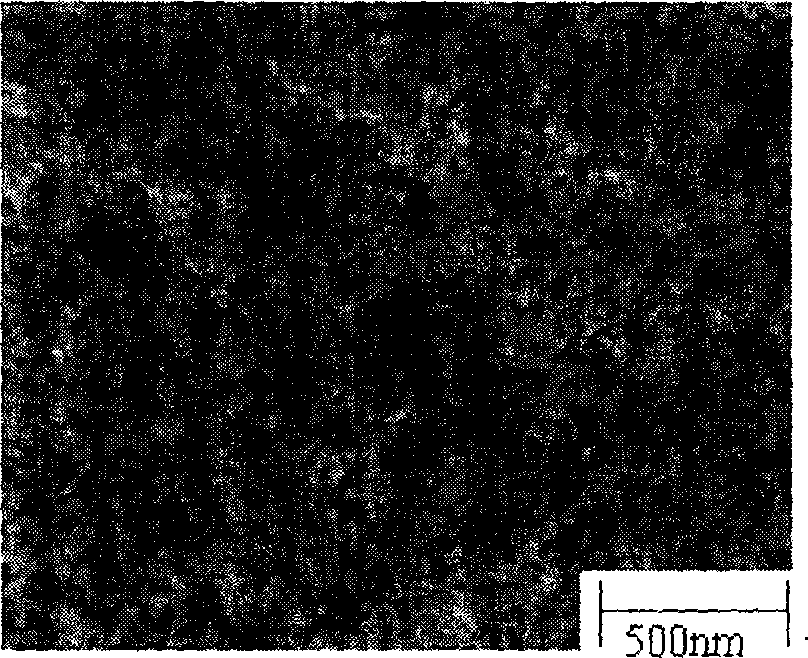 Method for preparing carbon gas gel