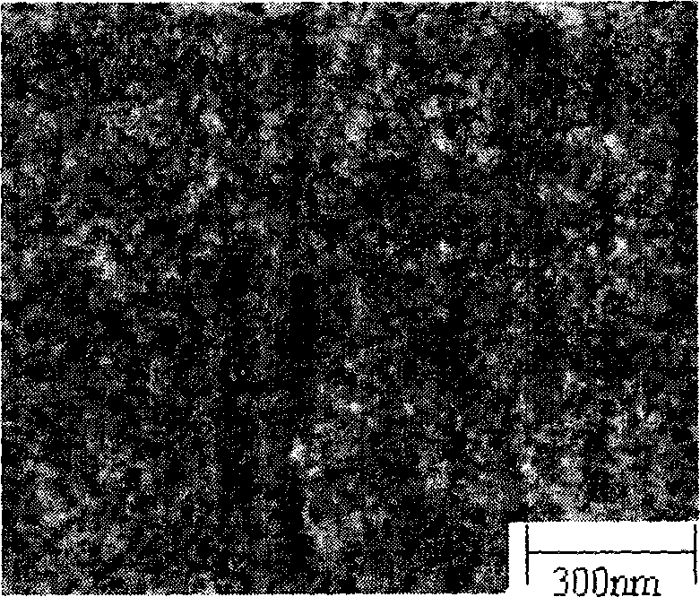 Method for preparing carbon gas gel