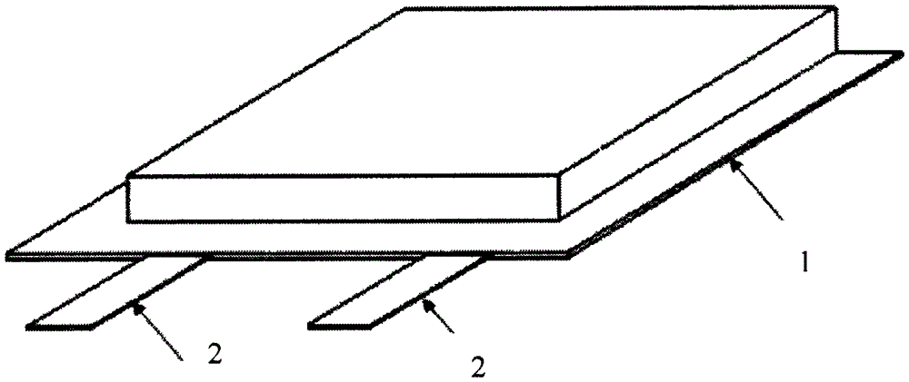 A kind of flexible packaging lithium ion battery